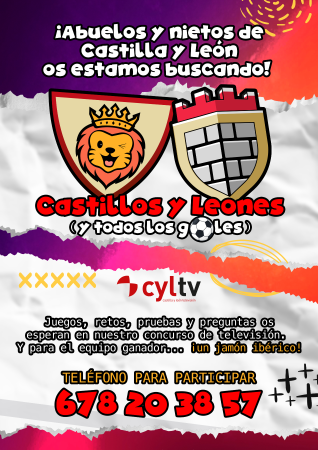 Imagen CONCURSO DE TV CASTILLA Y LEÓN