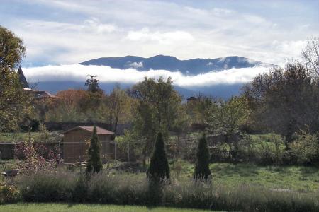 muijer muerta partida por la nube