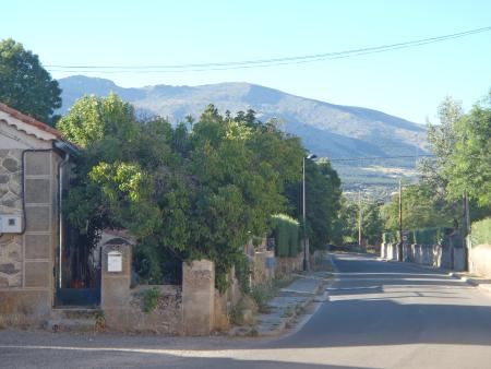 MUJER M.CARR. SEGOVIA.1