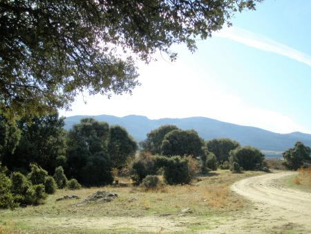 CAMINO LIND