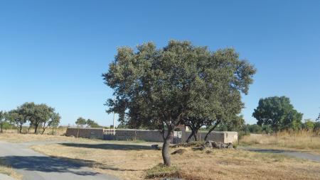 CEMENTERIO