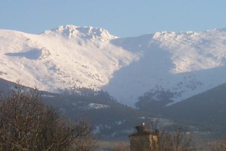 m.muerta y cigueña