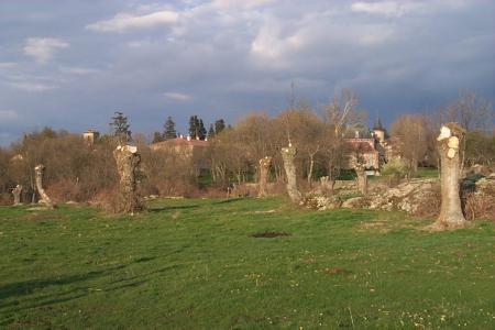 vista desde la Nava