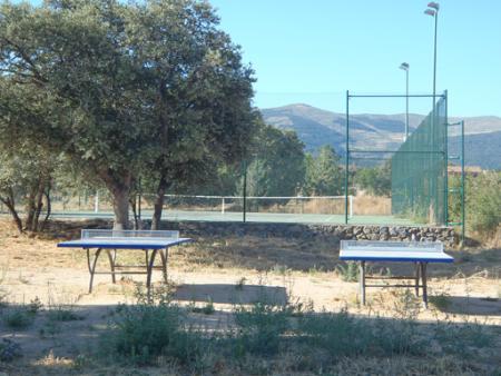 Imagen PING PONG